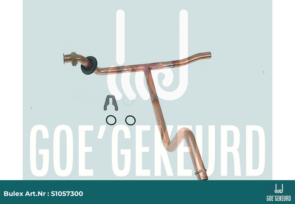 Buis – detailfoto • BULEX Art.NR: S1057300