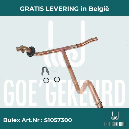 Buis – productfoto • gratis verzending in België • BULEX Art.NR: S1057300