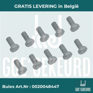 Schroef (10 st.) – productfoto • gratis verzending in België • BULEX Art.NR: 0020048447
