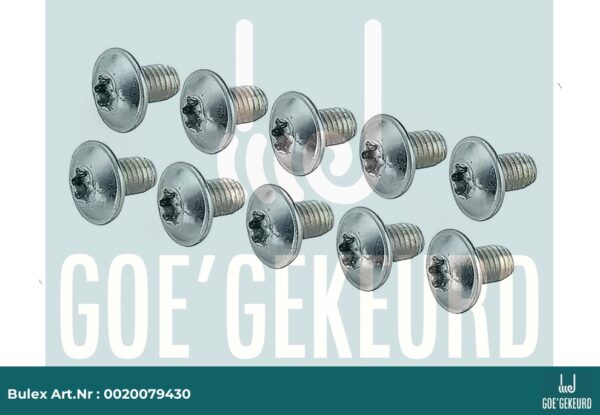 Schroef (10 st.) – detailfoto • BULEX Art.NR: 0020079430