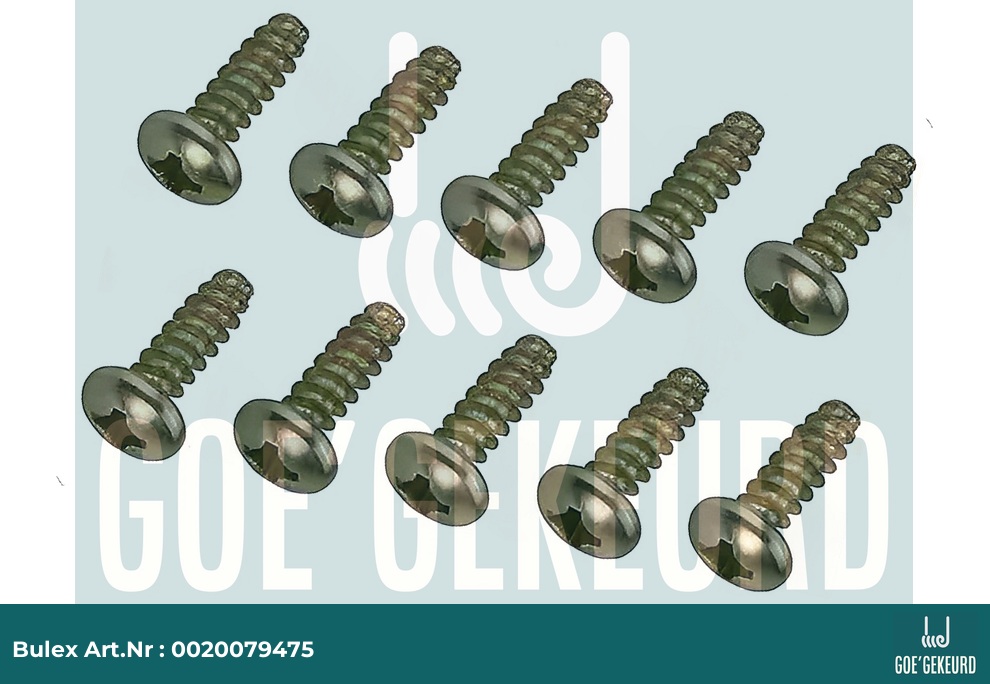 Schroef (10 st.) – detailfoto • BULEX Art.NR: 0020079475