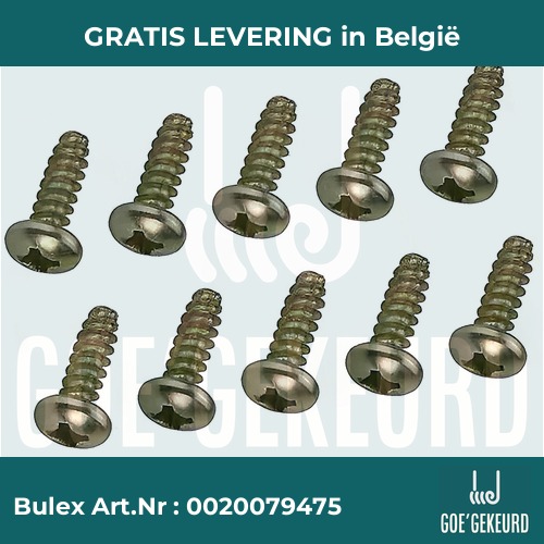 Schroef (10 st.) – productfoto • gratis verzending in België • BULEX Art.NR: 0020079475