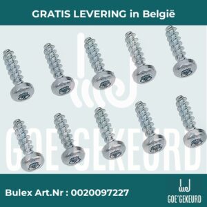 Schroef (10 st.) – productfoto • gratis verzending in België • BULEX Art.NR: 0020097227
