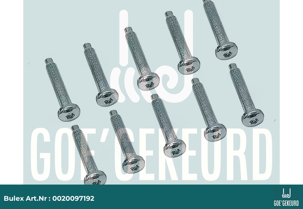 Schroef M5x33 (10 st.) – detailfoto • BULEX Art.NR: 0020097192