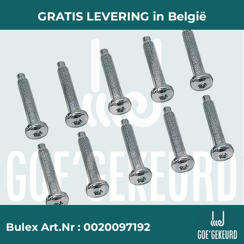 Schroef M5x33 (10 st.) – productfoto • gratis verzending in België • BULEX Art.NR: 0020097192