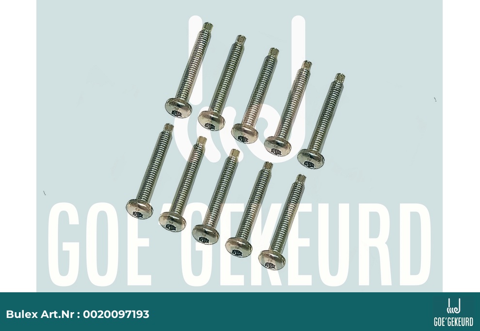 Schroef M5x33 (10 st.) – detailfoto • BULEX Art.NR: 0020097193